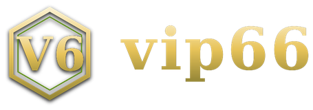 vip66 logo